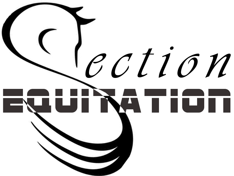 Section EQUITATION logo